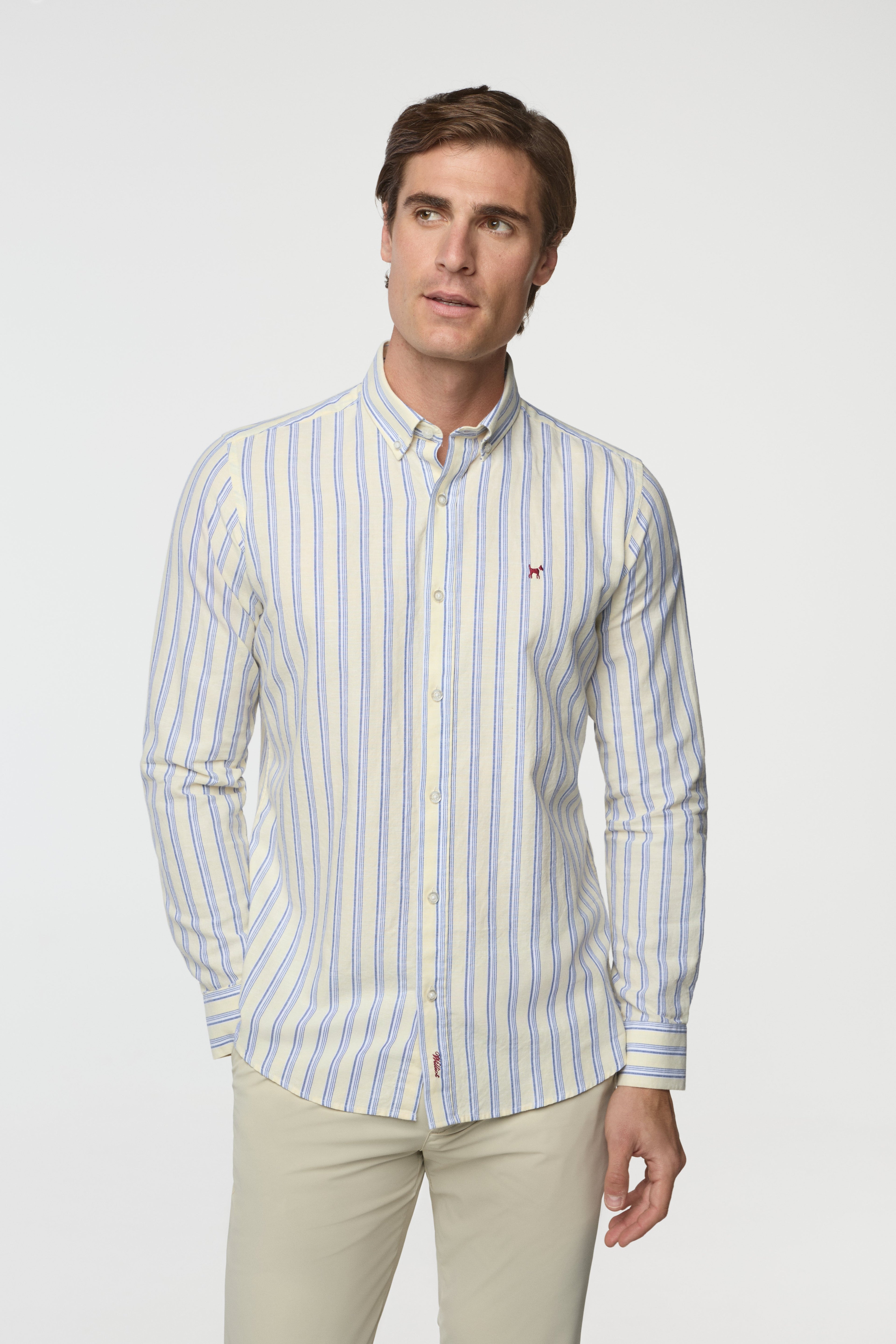 Camisa de rayas
