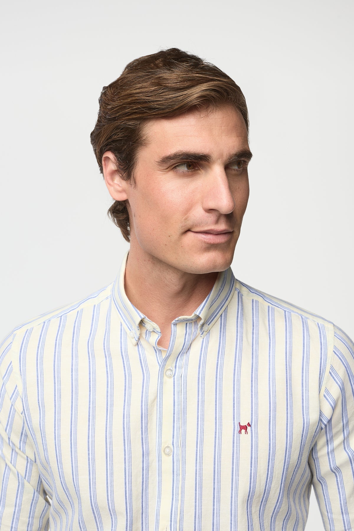 Camisa de rayas