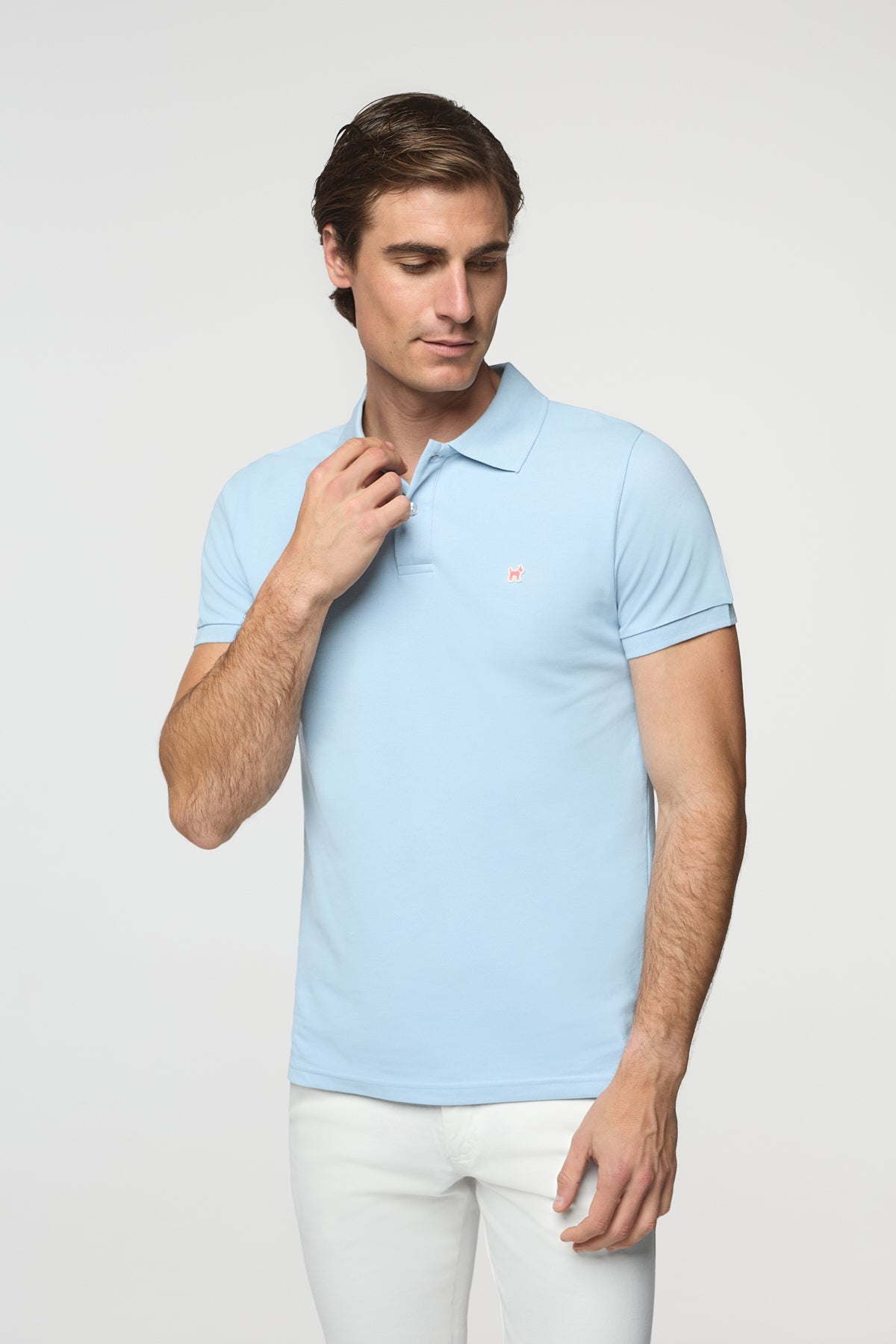 Polo Life v26